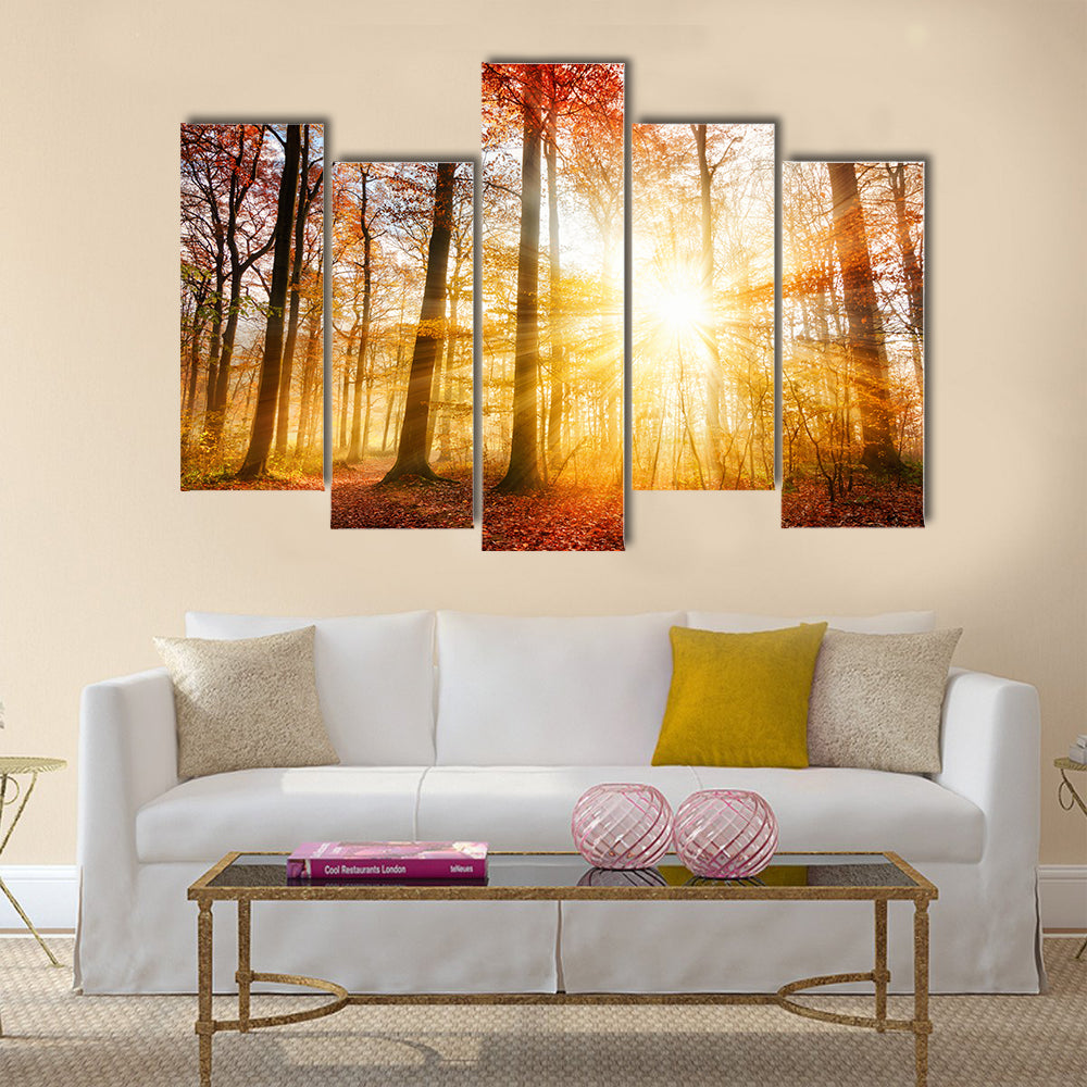 Warm autumn scenery in a forest Multi panel canvas wall art