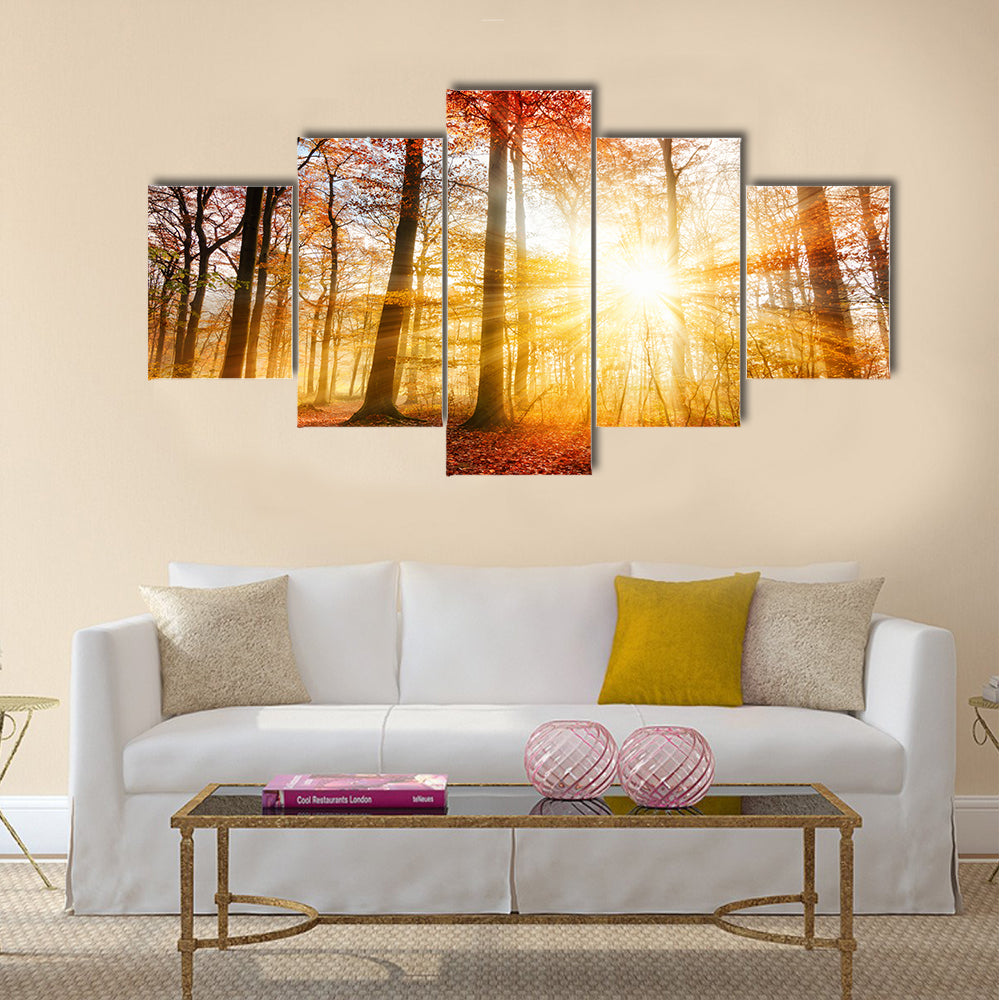 Warm autumn scenery in a forest Multi panel canvas wall art