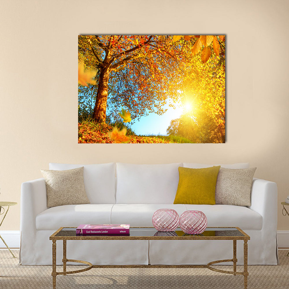 Golden autumn scenery with a nice tree Multi panel canvas wall art