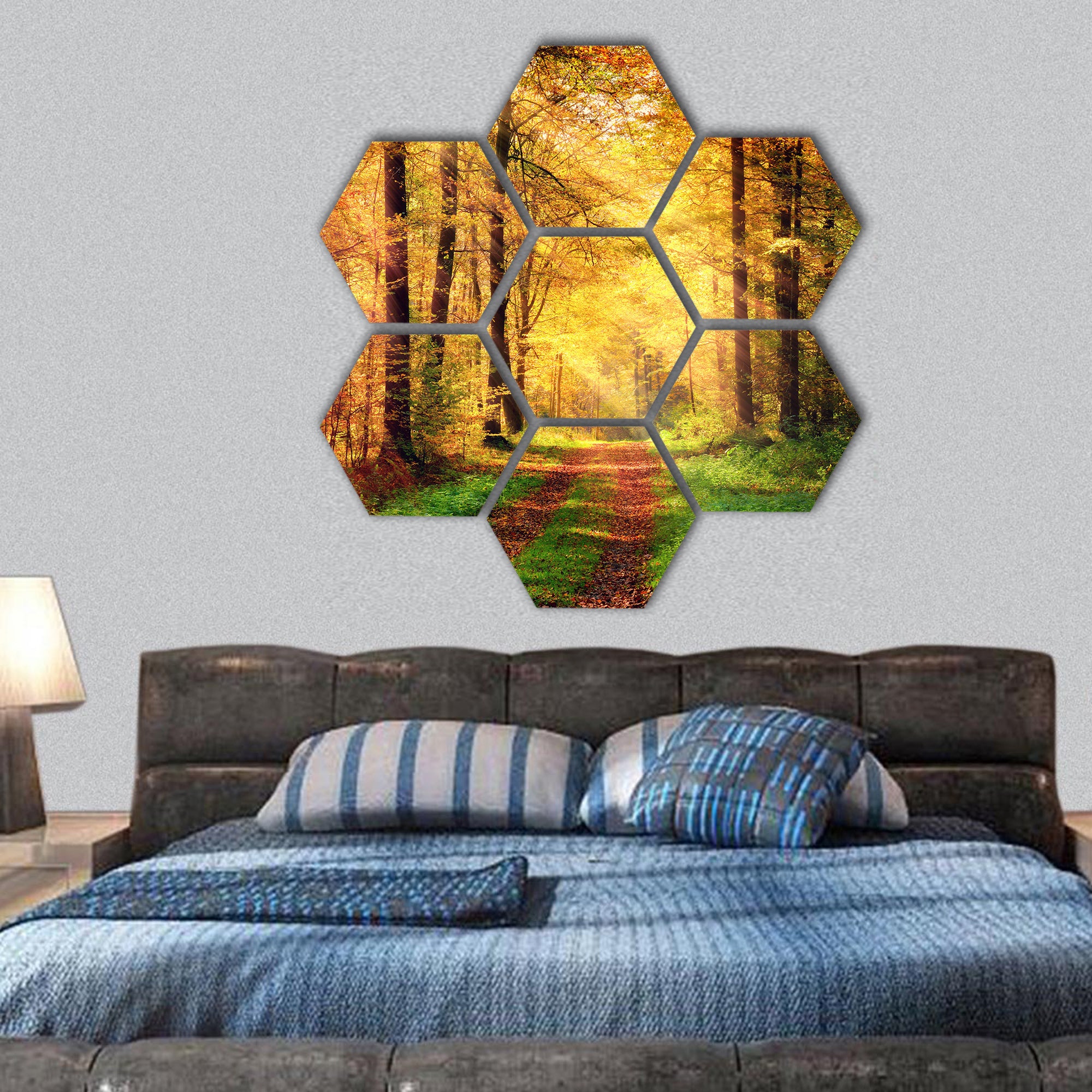 Autumn forest scenery with rays of warm light hexagonal canvas wall art