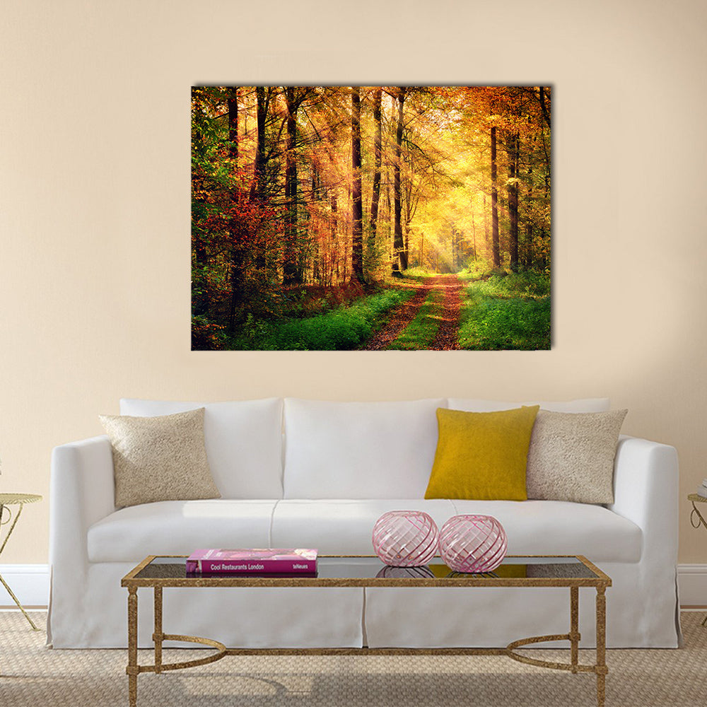 Autumn forest scenery with rays of warm light Multi panel canvas wall art