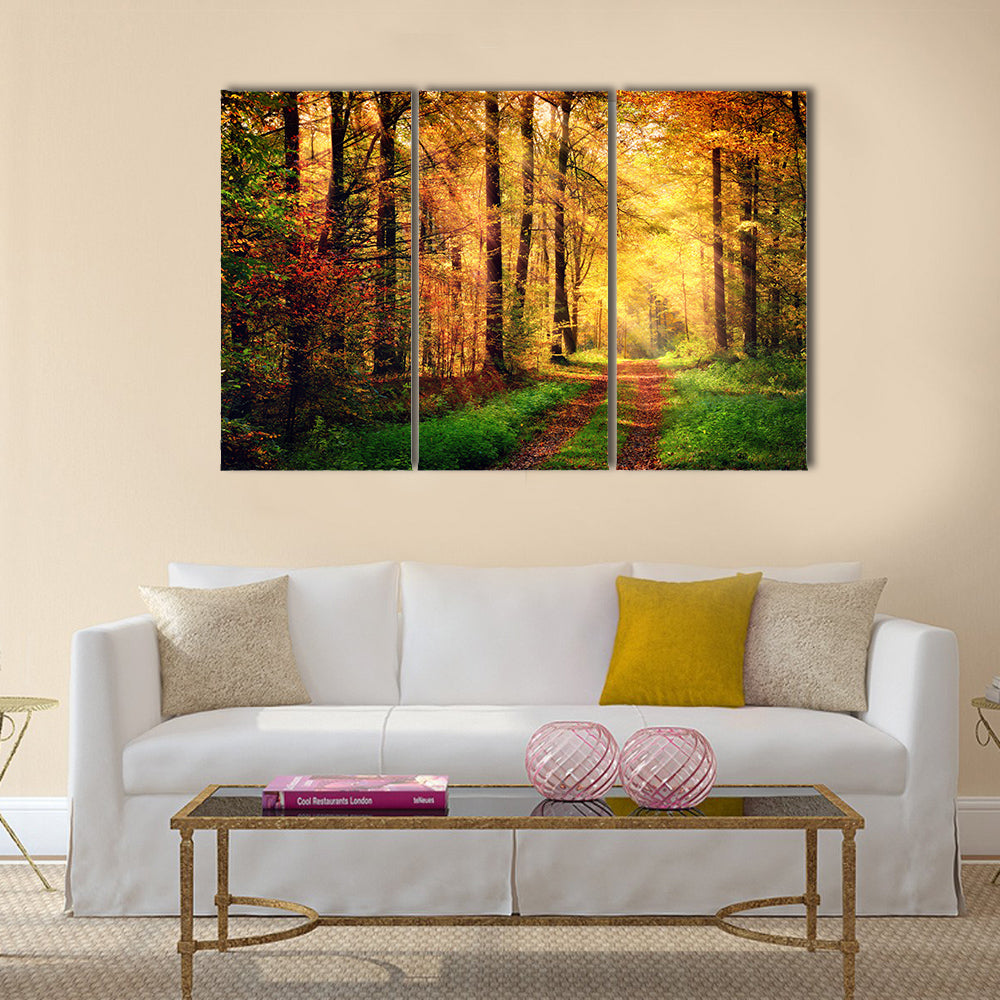 Autumn forest scenery with rays of warm light Multi panel canvas wall art