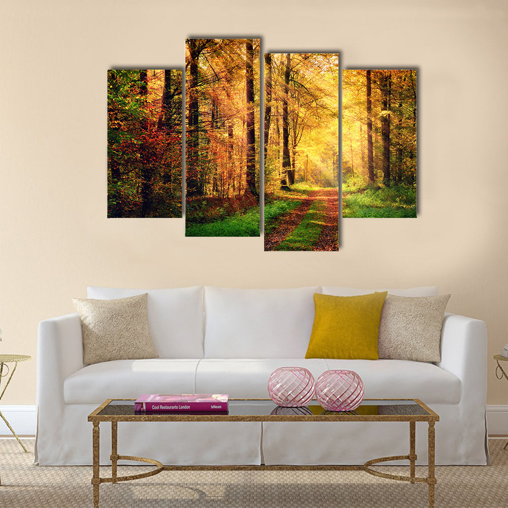 Autumn forest scenery with rays of warm light Multi panel canvas wall art