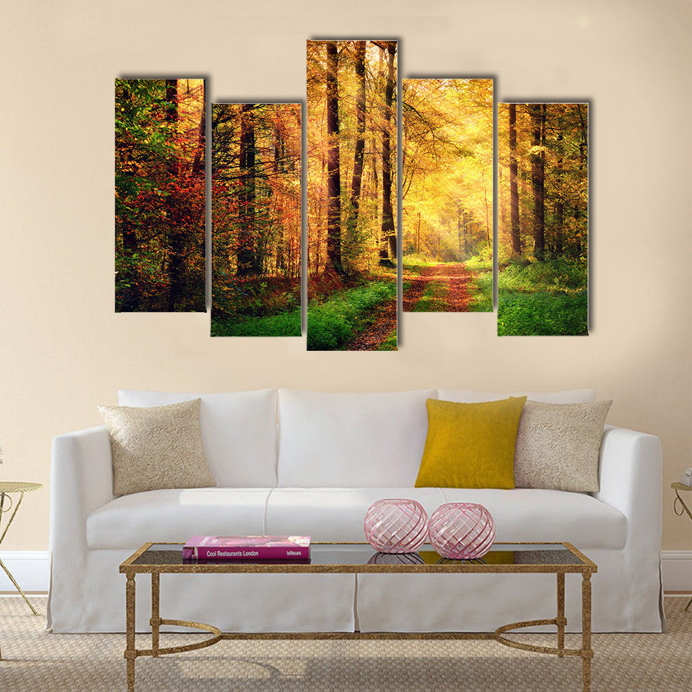 Autumn forest scenery with rays of warm light Multi panel canvas wall art