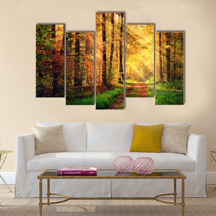 Autumn forest scenery with rays of warm light Multi panel canvas wall art