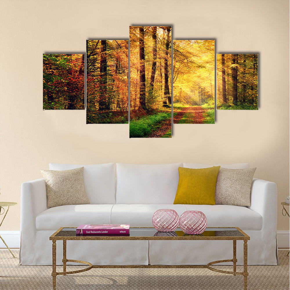 Autumn forest scenery with rays of warm light Multi panel canvas wall art