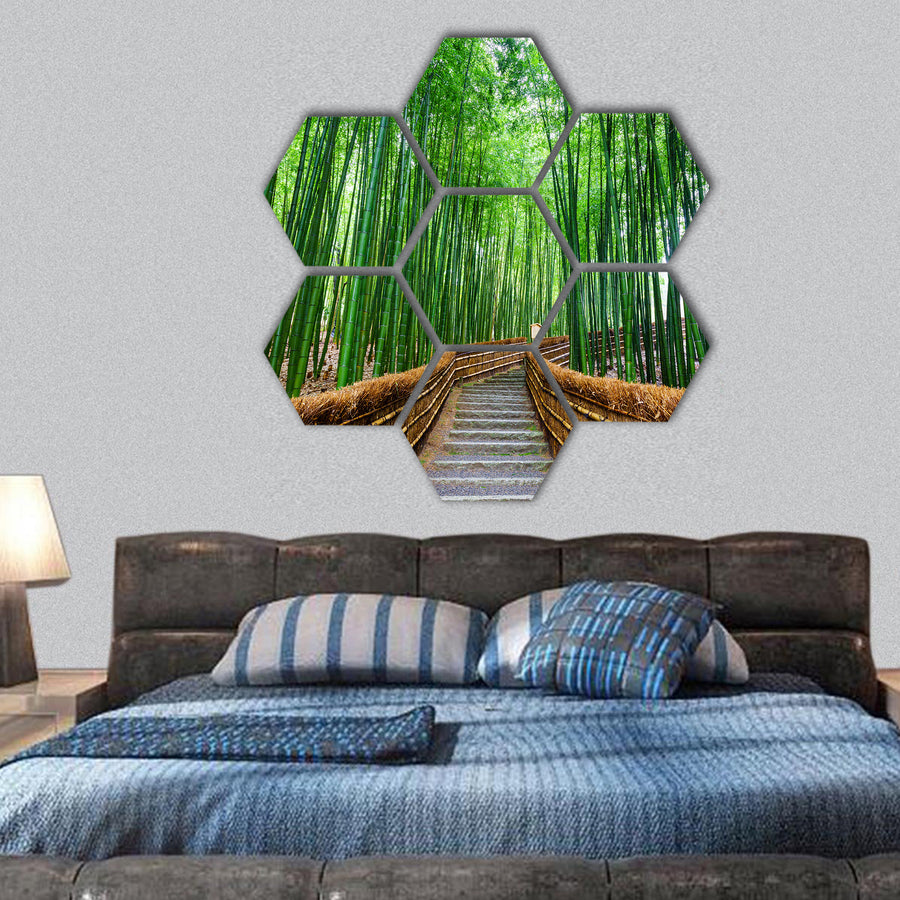 Path to bamboo forest, Arashiyama, Kyoto, Japan hexagonal canvas wall art