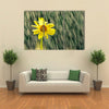 Beautiful Sun Flower In A Rainy Weather, Multi Panel Wall Art