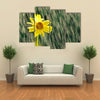 Beautiful Sun Flower In A Rainy Weather, Multi Panel Wall Art