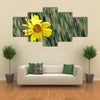 Beautiful Sun Flower In A Rainy Weather, Multi Panel Wall Art