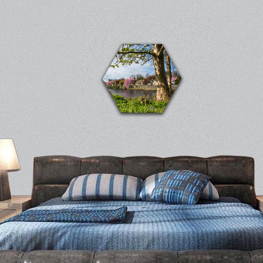 pretty banks of the River Cree in Newton Stewart hexagonal canvas wall art