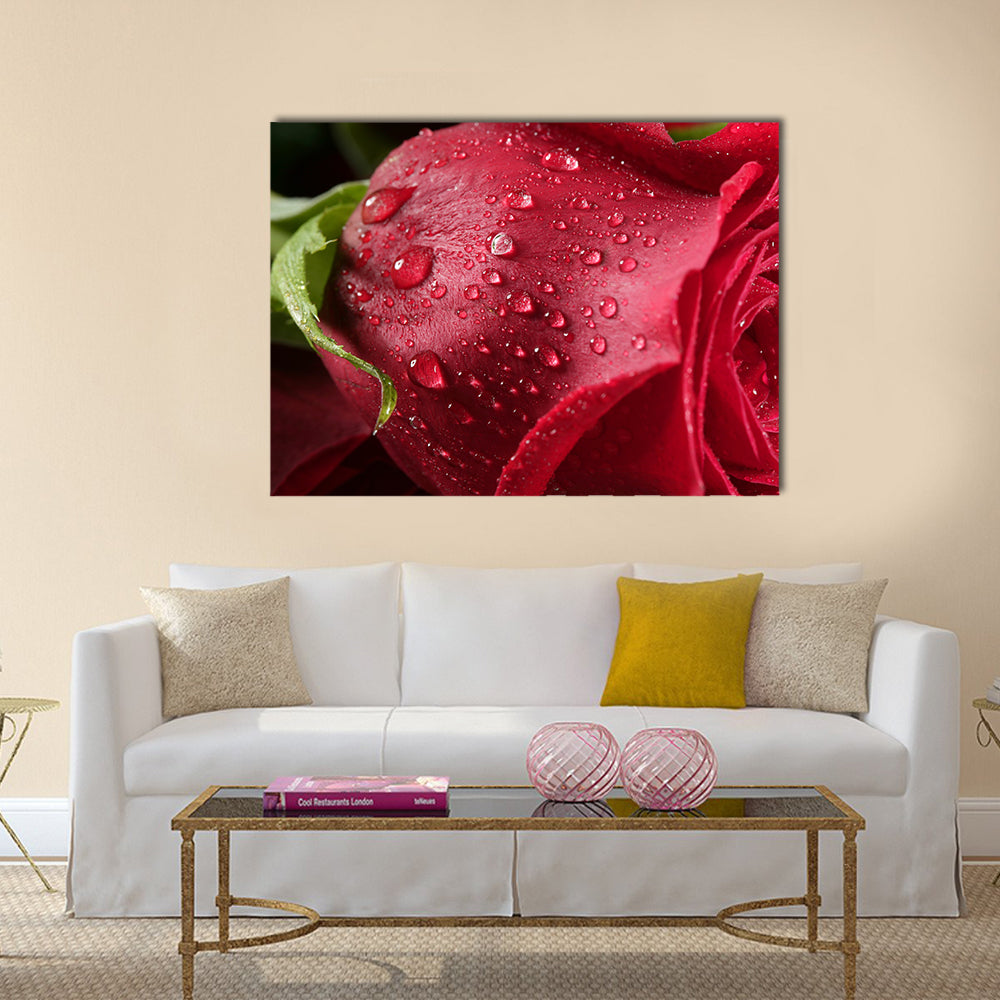 The Red Petals Of A Rose Are Covered By The Wet Dew Drops, Multi Panel Canvas Wall Art