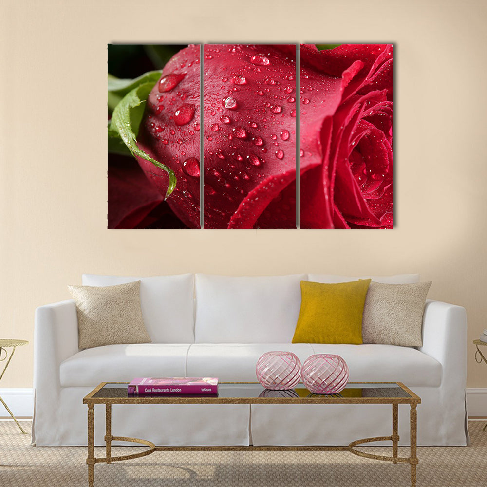 The Red Petals Of A Rose Are Covered By The Wet Dew Drops, Multi Panel Canvas Wall Art
