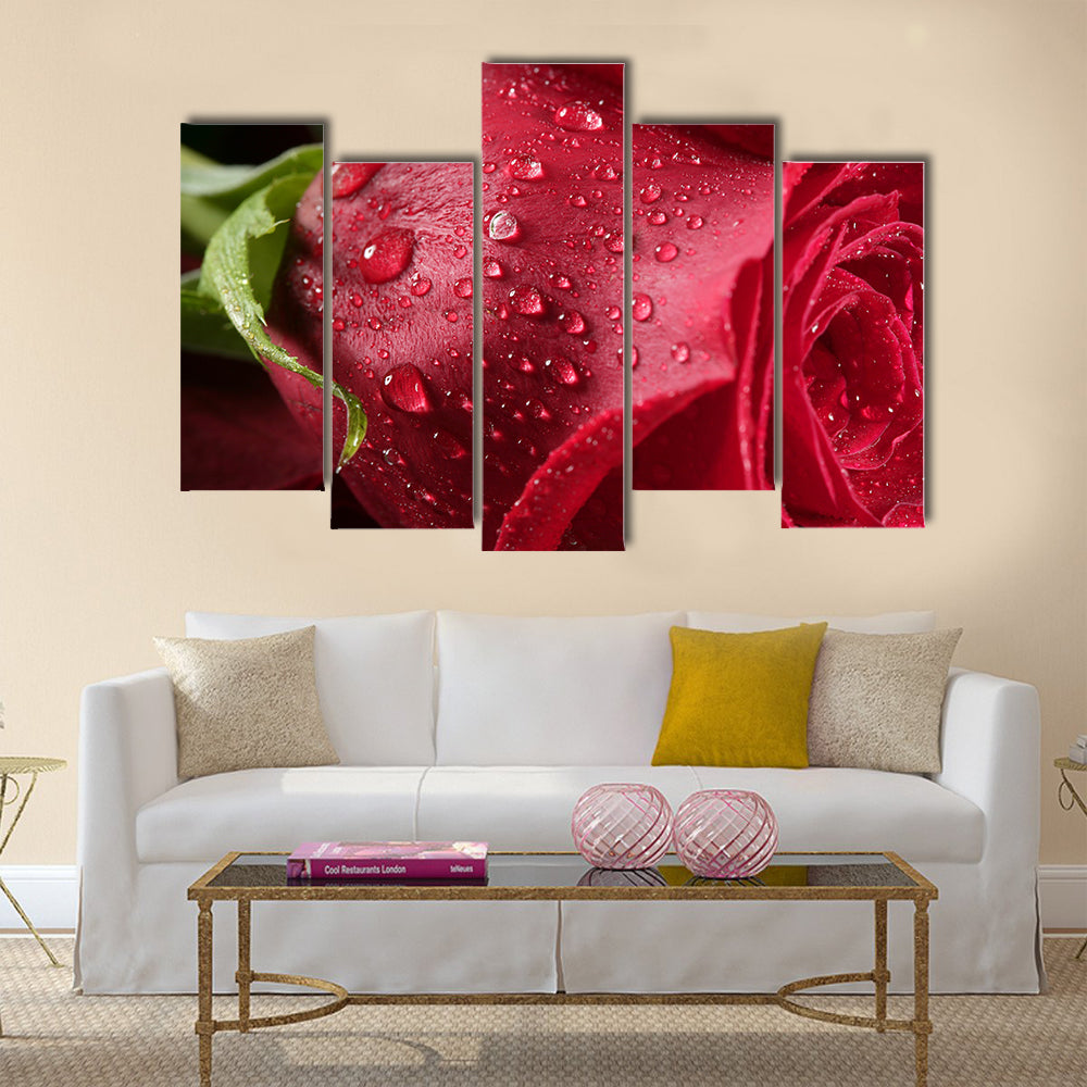 The Red Petals Of A Rose Are Covered By The Wet Dew Drops, Multi Panel Canvas Wall Art