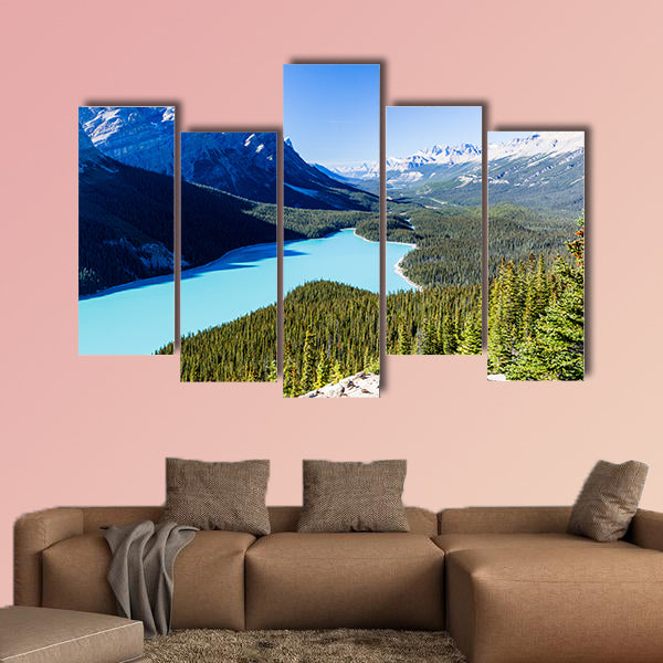 Peyto Lake is a glacier-fed lake located in Banff National Park canvas wall art
