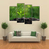 The Green Sprouts Of The Rain Close-Up To The Plant On The Ground, Multi Panel Wall Art