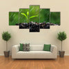 The Green Sprouts Of The Rain Close-Up To The Plant On The Ground, Multi Panel Wall Art