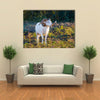 Texas Dall Sheep Ram Standing Tall Looking To The Right Multi Panel Canvas Wall Art