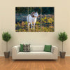 Texas Dall Sheep Ram Standing Tall Looking To The Right Multi Panel Canvas Wall Art