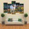 Texas Dall Sheep Ram Standing Tall Looking To The Right Multi Panel Canvas Wall Art