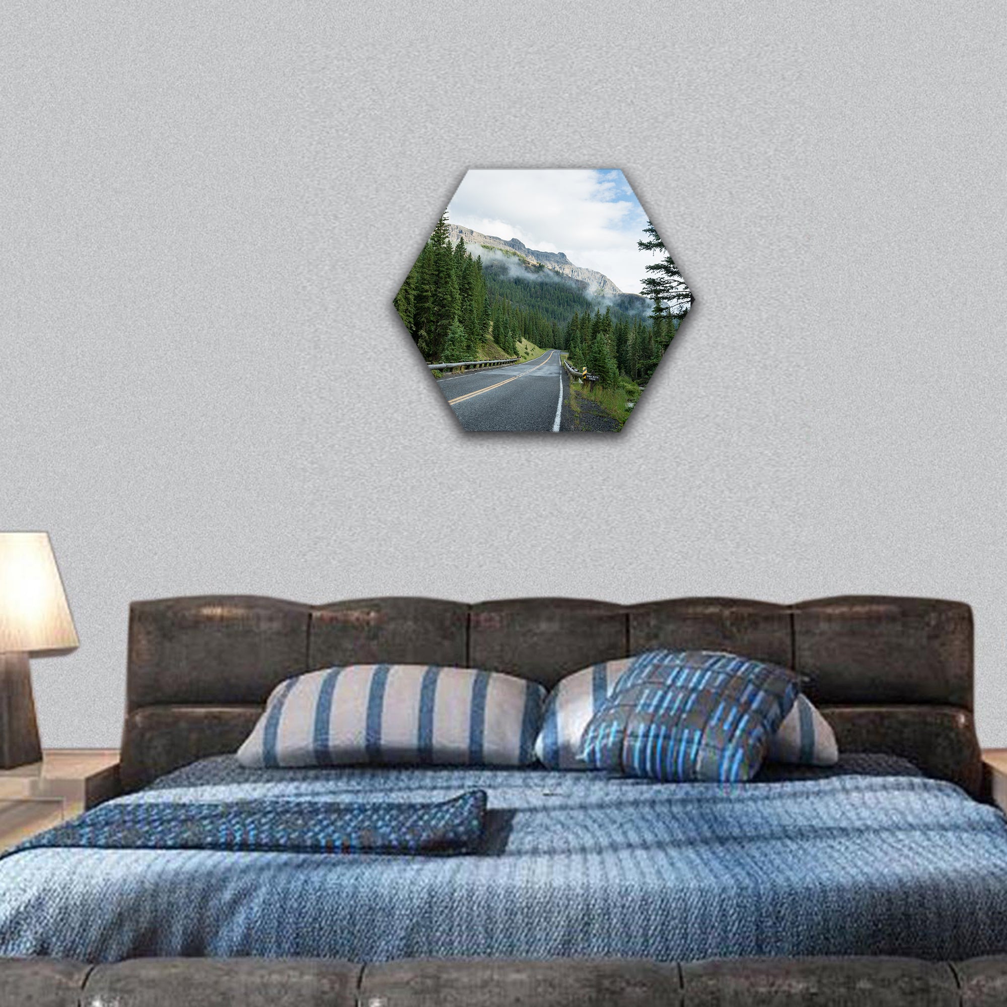 Beartooth highway, US by lush green forest and mountains hexagonal canvas wall art