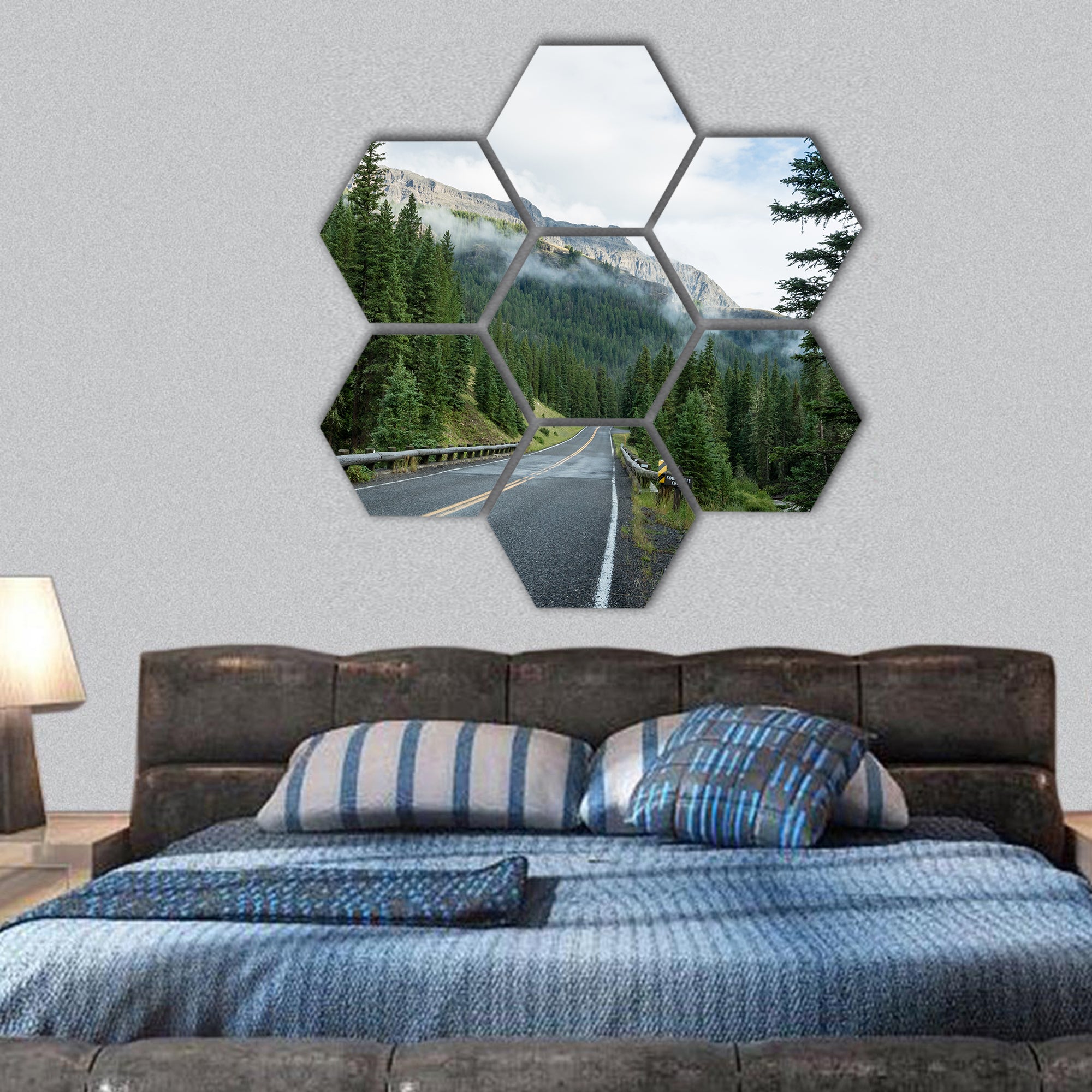 Beartooth highway, US by lush green forest and mountains hexagonal canvas wall art