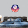 Woman with dog at beautiful night hexagonal canvas wall art