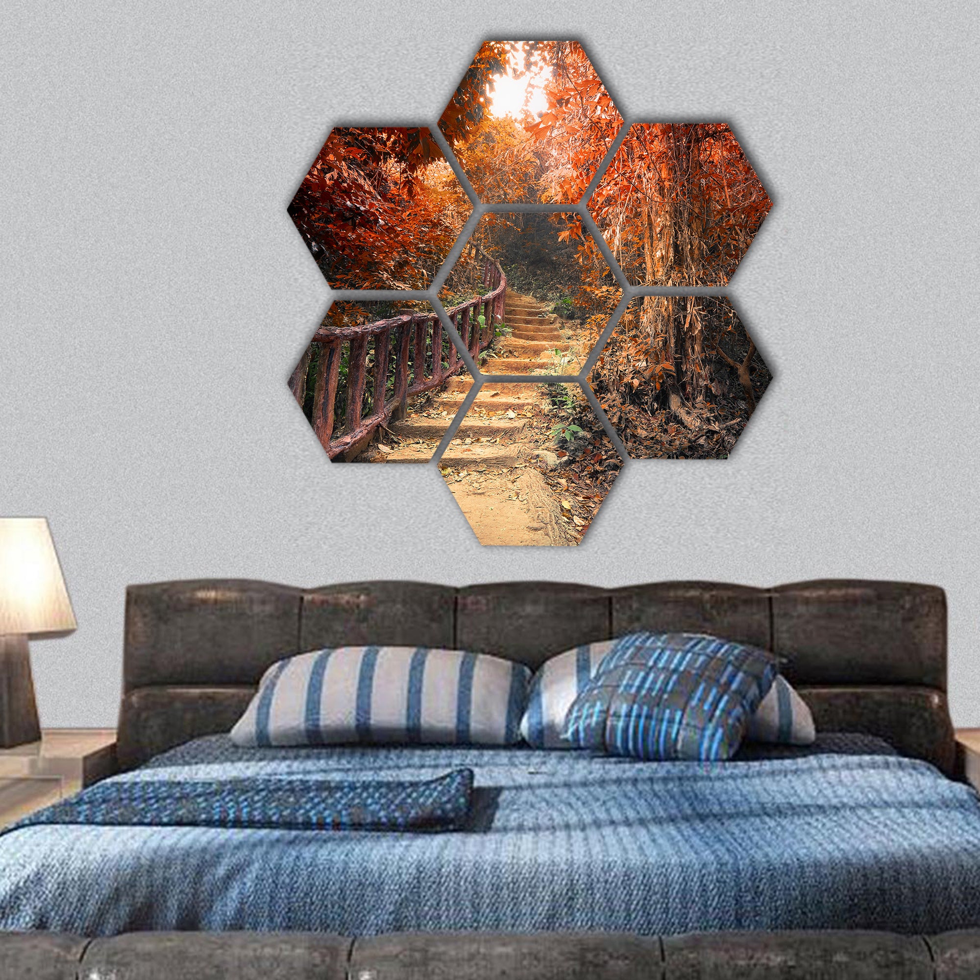 forest in autumn, Road path way through dense trees hexagonal canvas wall art