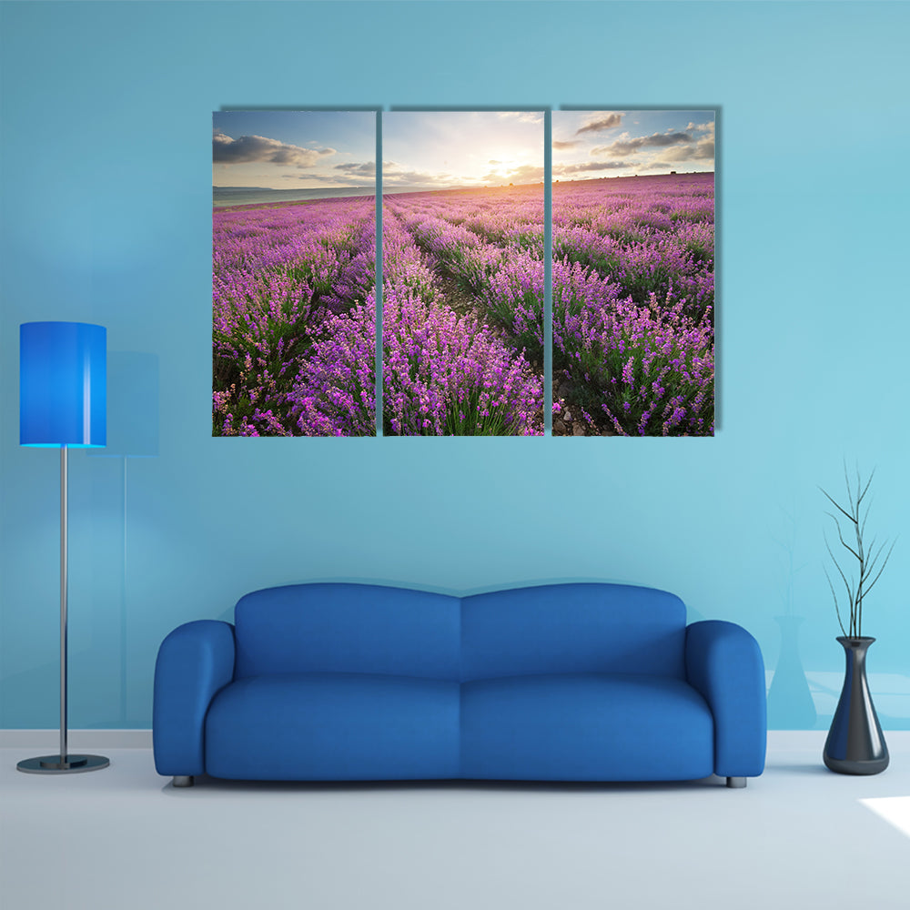 The Composition Of The Nature, Meadow Of The Lavender, Multi Panel Canvas Wall Art