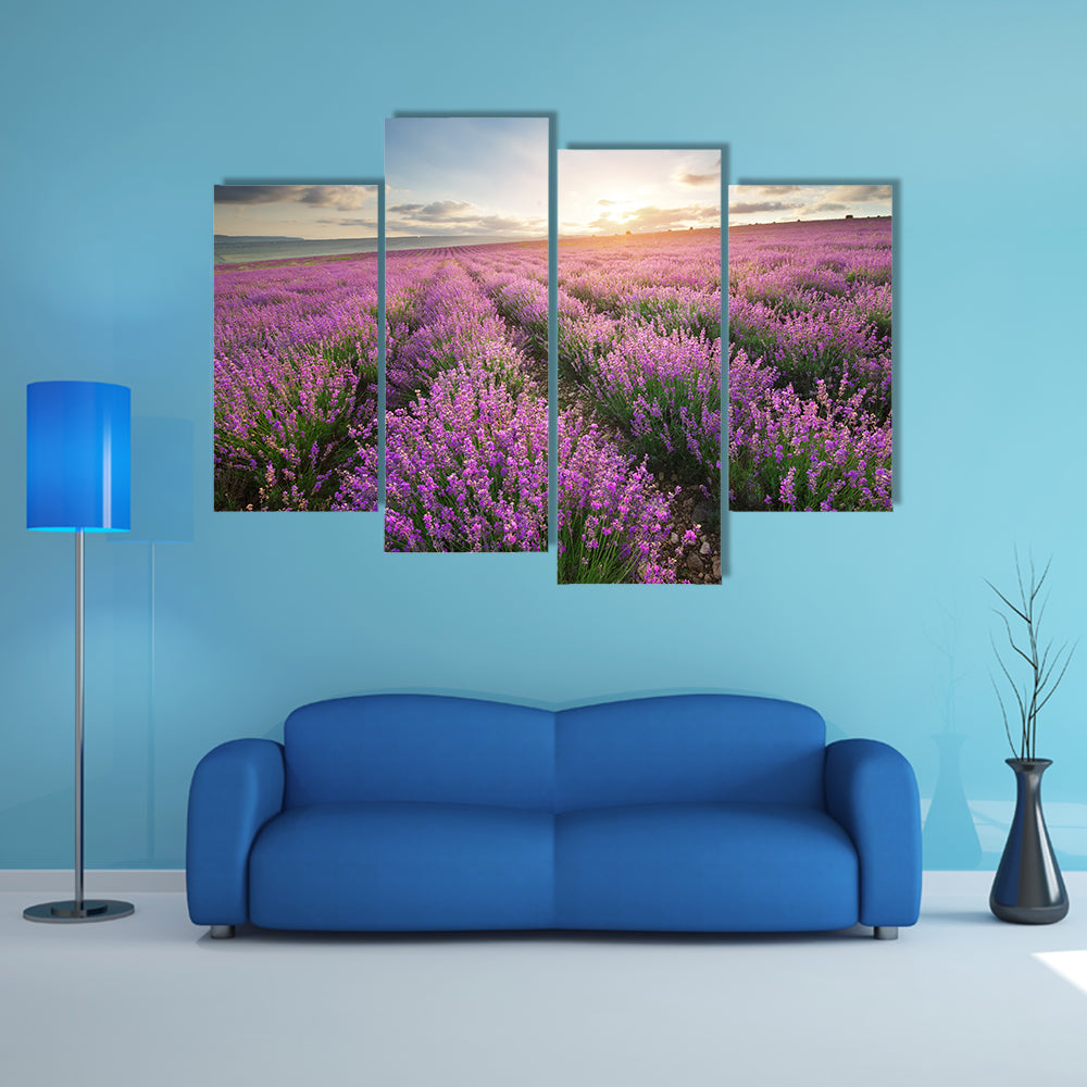 The Composition Of The Nature, Meadow Of The Lavender, Multi Panel Canvas Wall Art