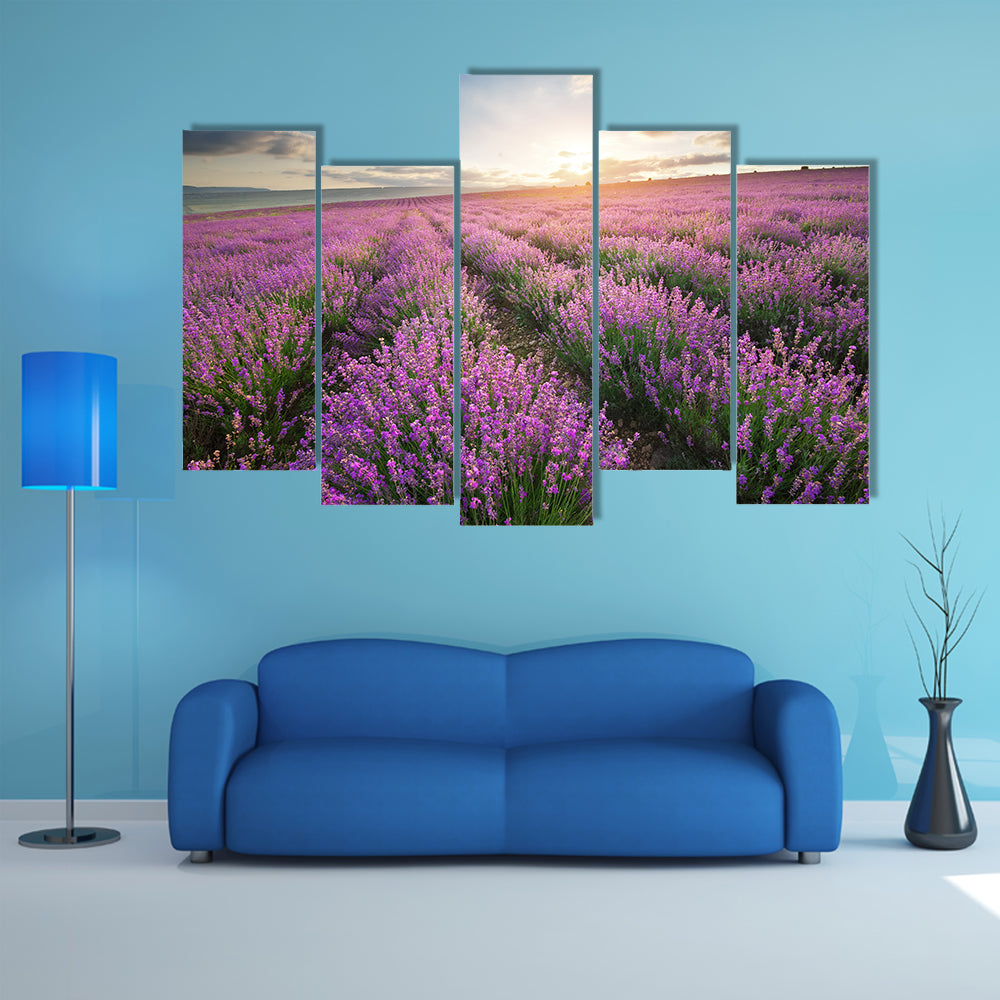 The Composition Of The Nature, Meadow Of The Lavender, Multi Panel Canvas Wall Art