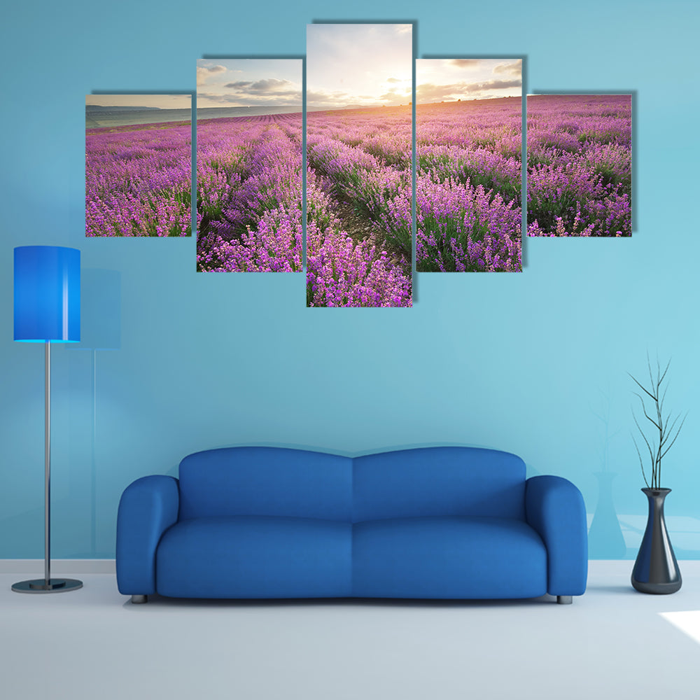 The Composition Of The Nature, Meadow Of The Lavender, Multi Panel Canvas Wall Art