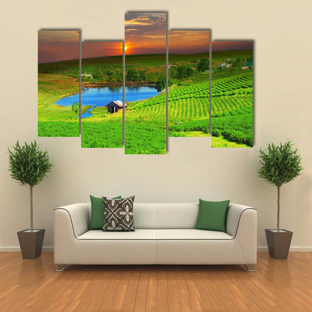 Tea plantation on central highland in Vietnam Multi panel canvas wall art