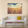 Sunny wheat field Multi panel canvas wall art