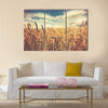 Sunny wheat field Multi panel canvas wall art