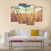 Sunny wheat field Multi panel canvas wall art