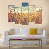 Sunny wheat field Multi panel canvas wall art