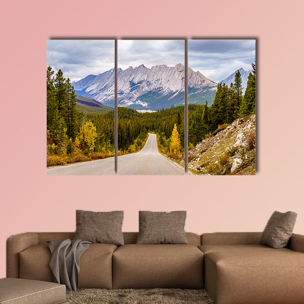 Colin Mountain Range seen from Maligne Lake Road in Jasper wall art