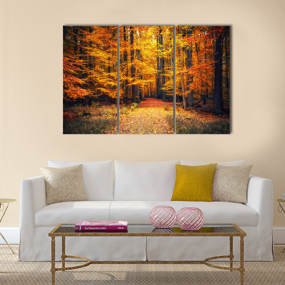 Pathway in the autumn park Multi panel canvas wall art