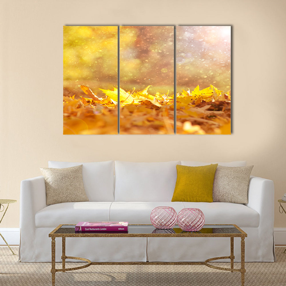 Beautiful sunny and rainy yellow color autumn season Multi panel canvas wall art