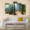 Morning in the forest multi panel canvas wall art