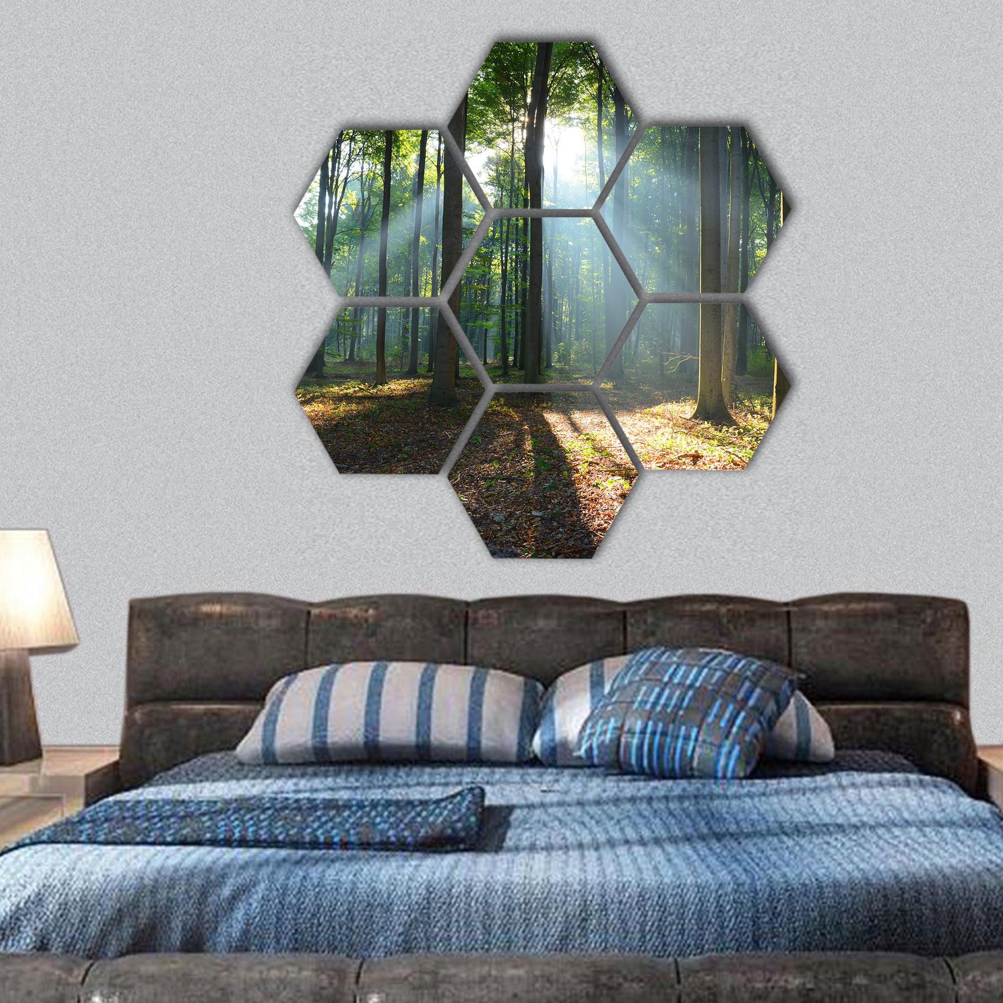 Morning in the forest hexagonal canvas wall art