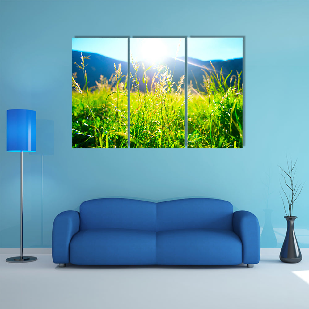 The Alpine Meadow, A Beautiful Landscape, Multi Panel Canvas Wall Art