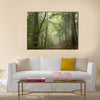 Path through the beech forest in foggy weather multi panel canvas wall art