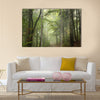 Path through the beech forest in foggy weather multi panel canvas wall art