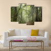 Path through the beech forest in foggy weather multi panel canvas wall art