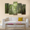 Path through the beech forest in foggy weather multi panel canvas wall art