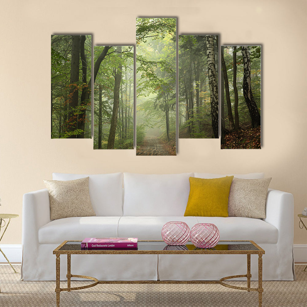 Path through the beech forest in foggy weather multi panel canvas wall art