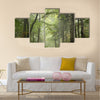 Path through the beech forest in foggy weather multi panel canvas wall art