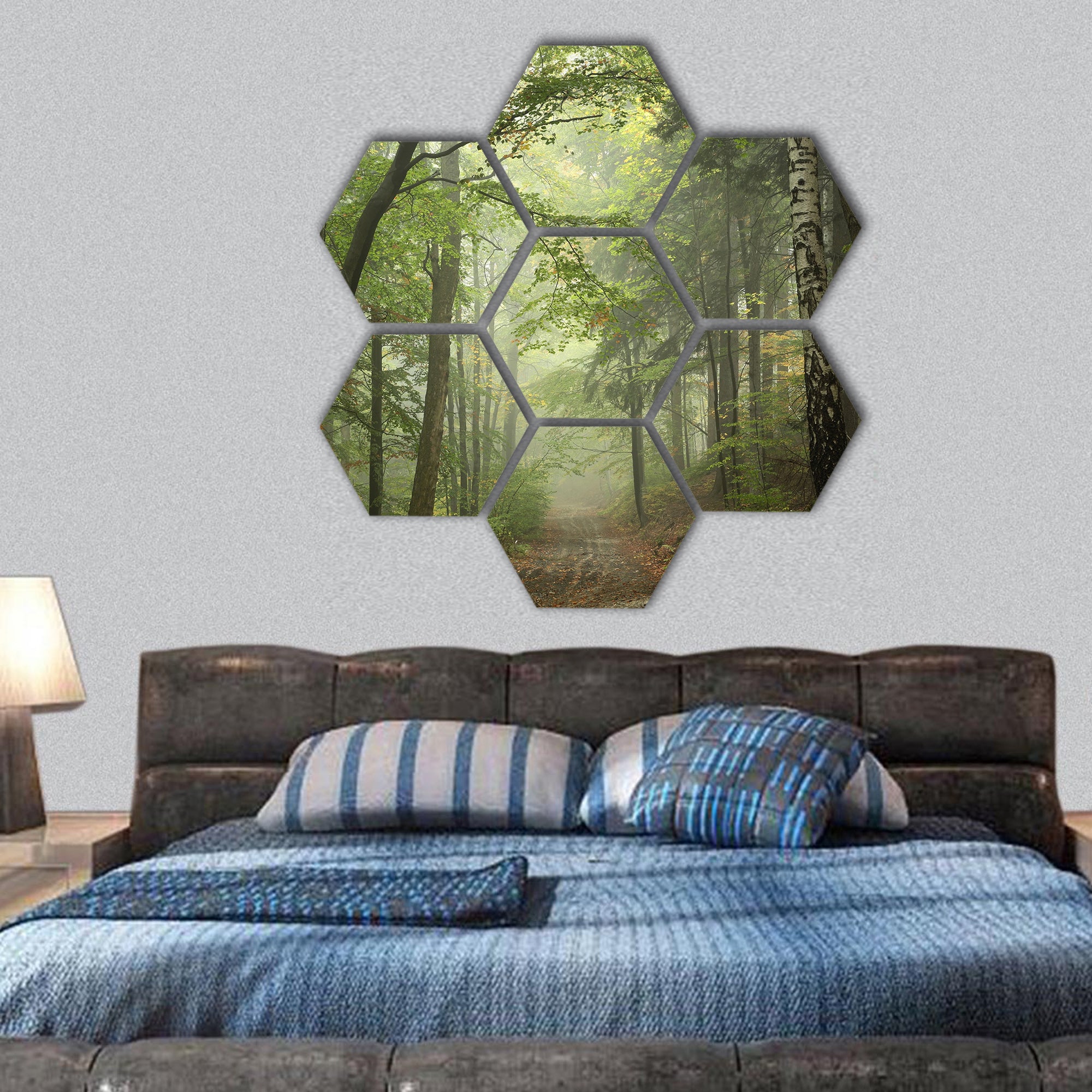 Path through the beech forest in foggy weather hexagonal canvas wall art